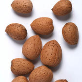 prunus_amygdalus